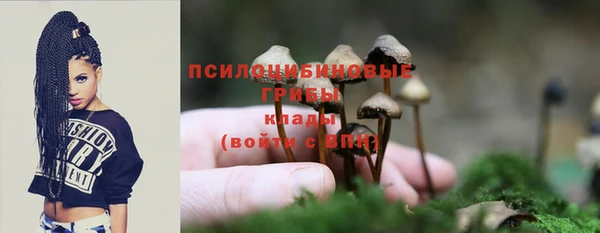 дмт Сосновый Бор