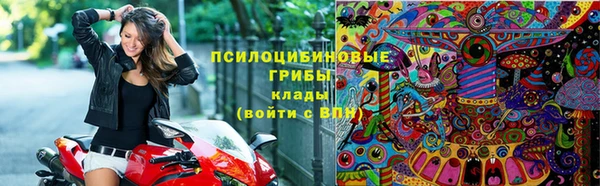 a pvp Арсеньев