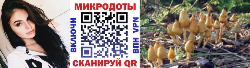 Псилоцибиновые грибы GOLDEN TEACHER Фролово
