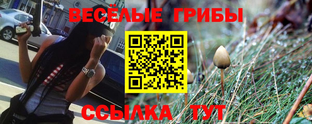 Галлюциногенные грибы GOLDEN TEACHER Фролово